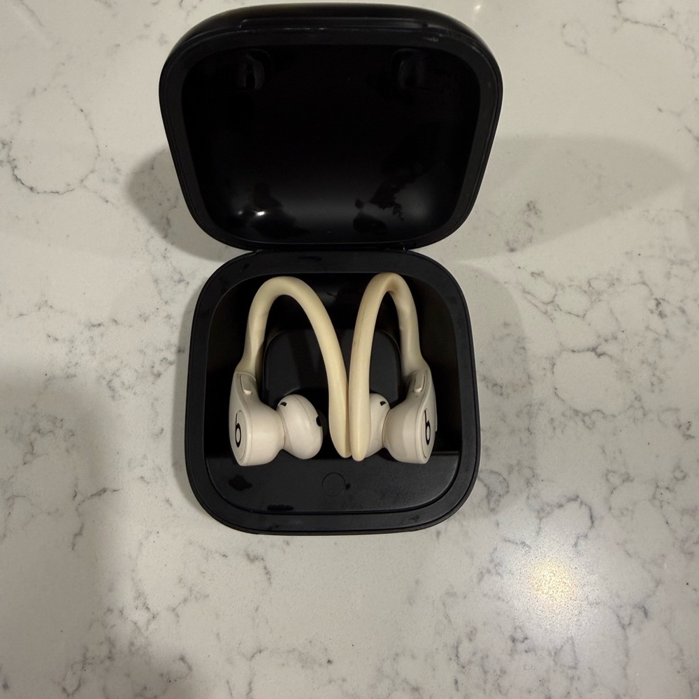 Beats Powerbeats Pro